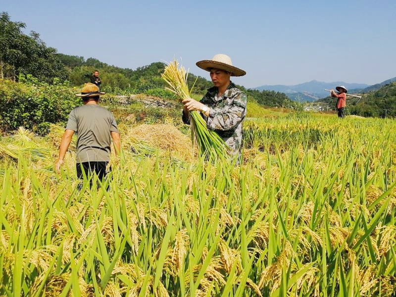 1605682703268735_d302c092601431631ede8e787526e259.jpg 微信圖片_20201118084627.jpg